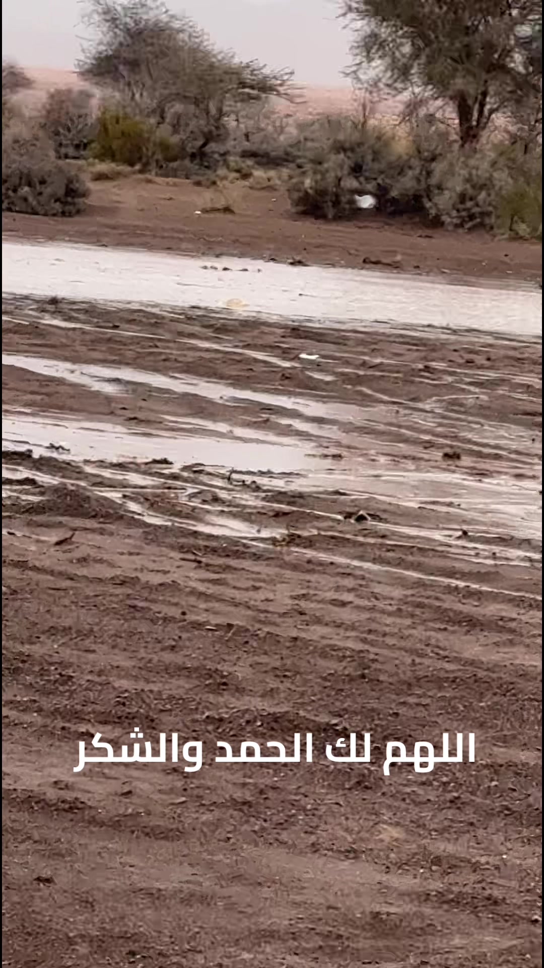 @ابوعبدالله