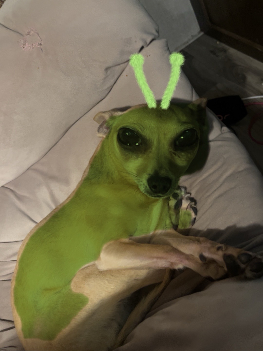 @✮  𝒞𝓎𝓃𝓉𝒽𝒾𝒶  ✮