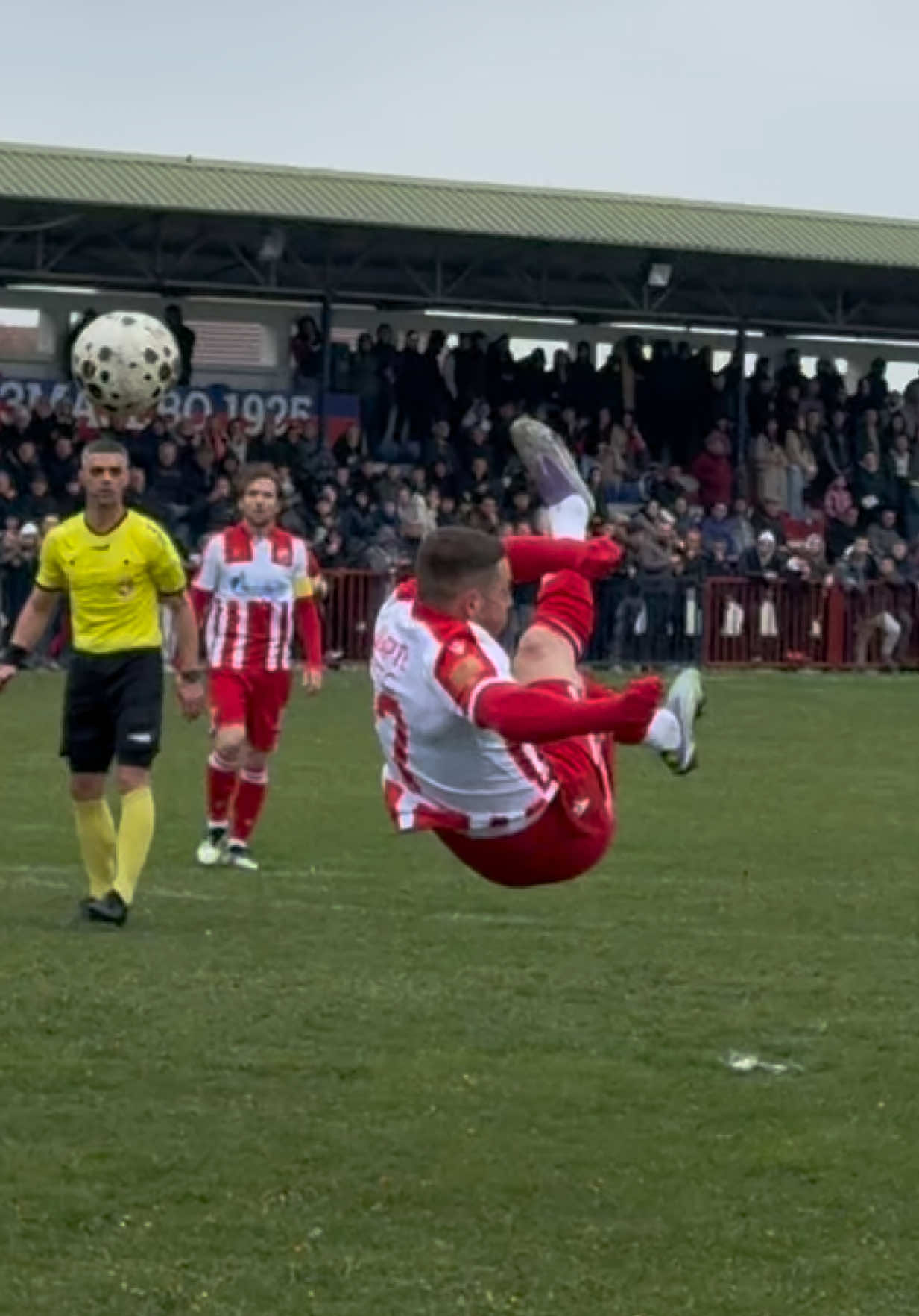 @FK Crvena zvezda
