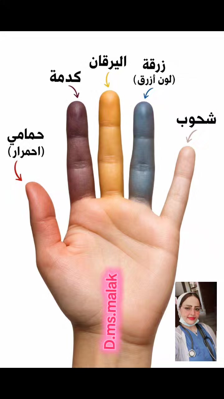@D.ms.malak
