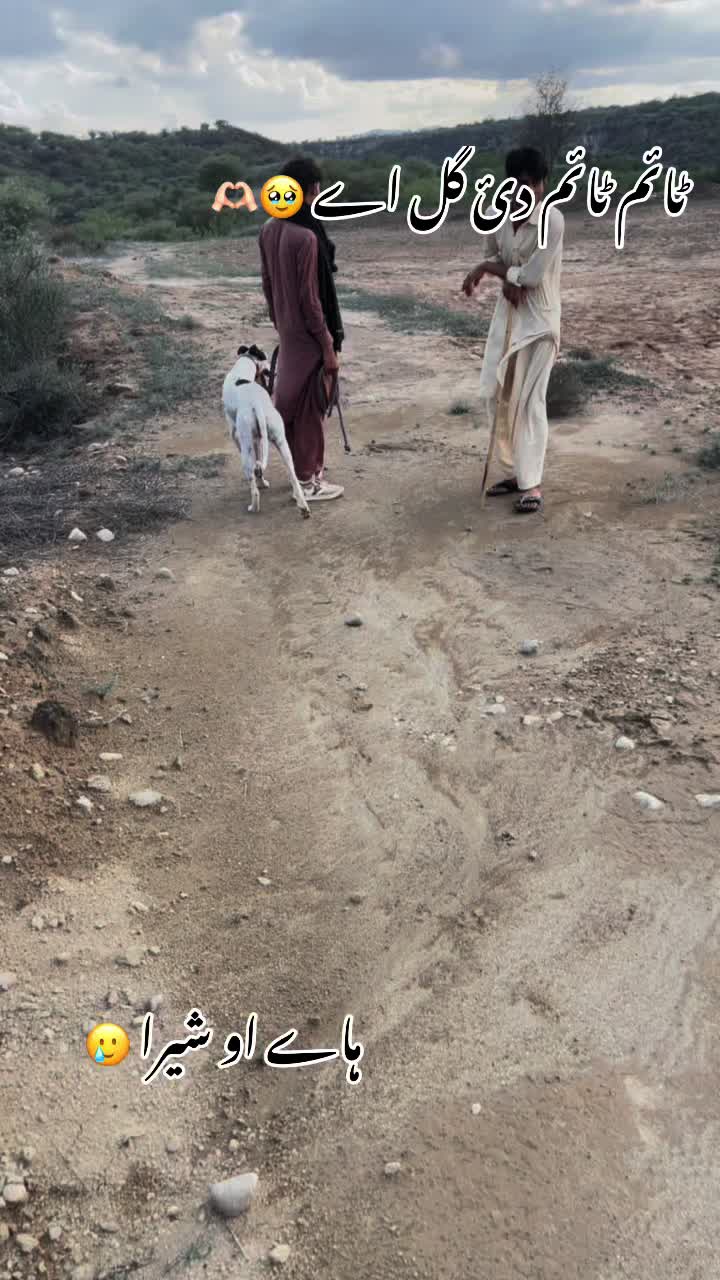 @شاہین گروپ آلہ🤟🔥F-16