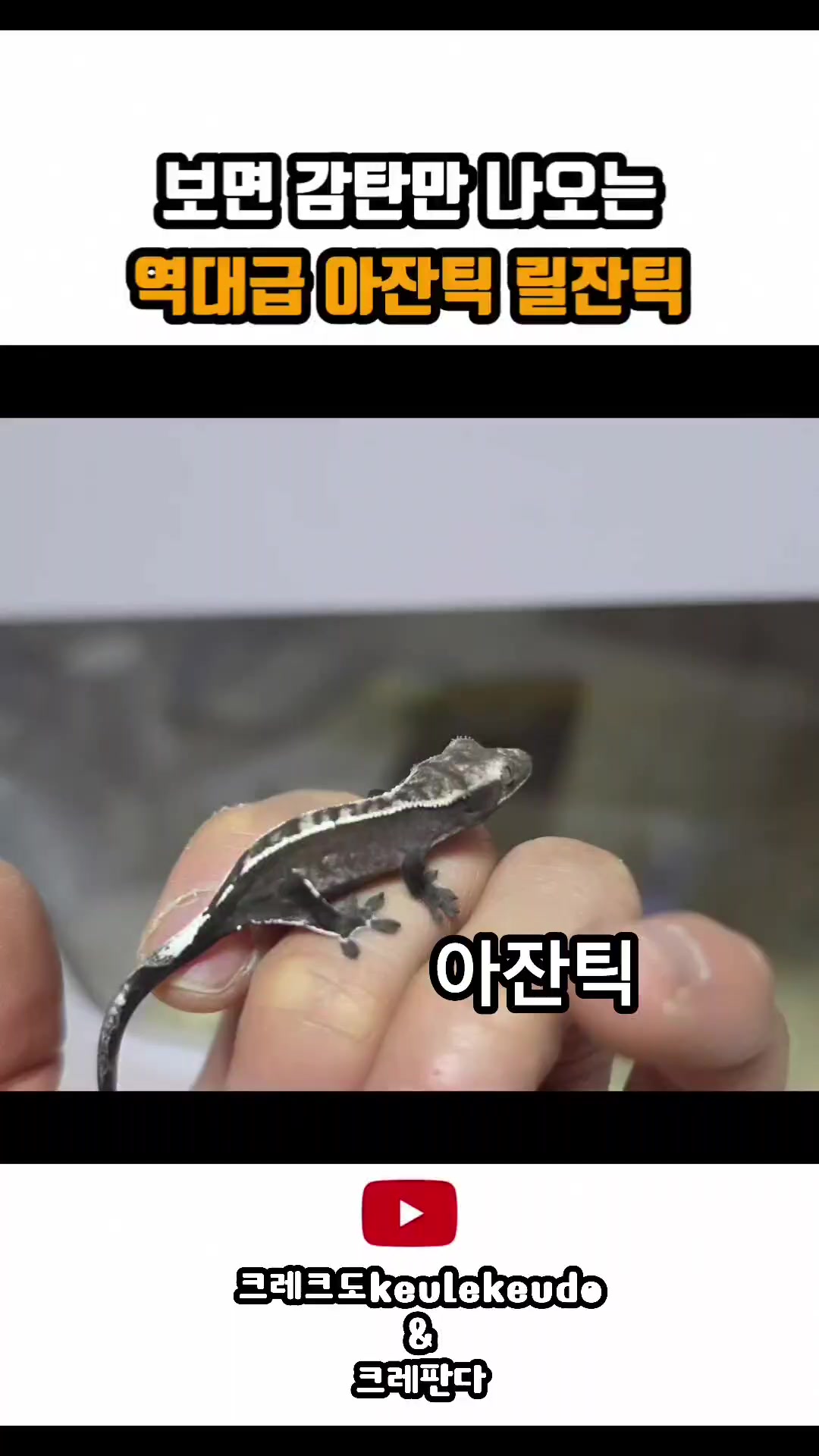 @크레크도- keulekeudo