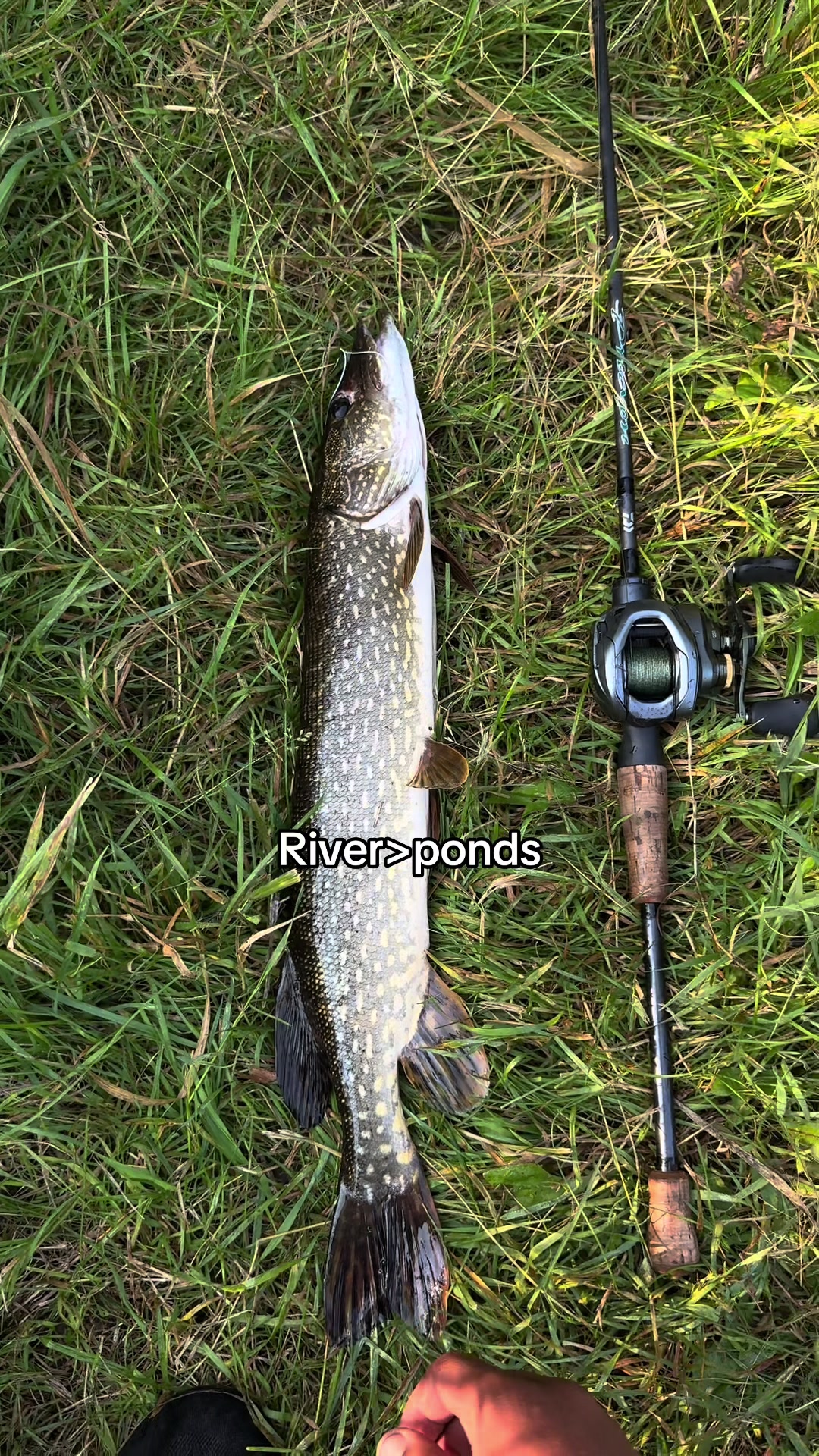 @218 fishing