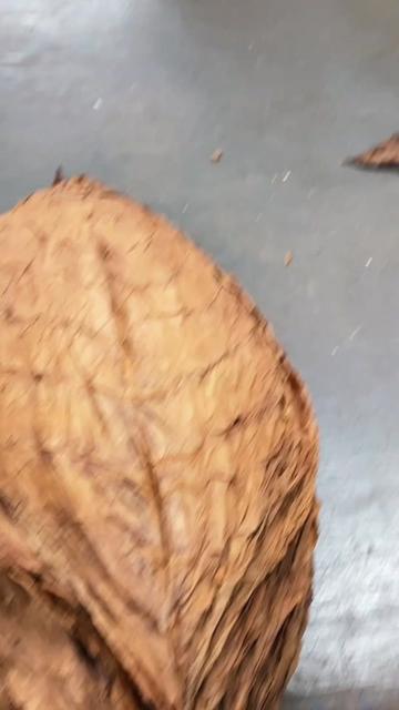 @Maduro Aficionado