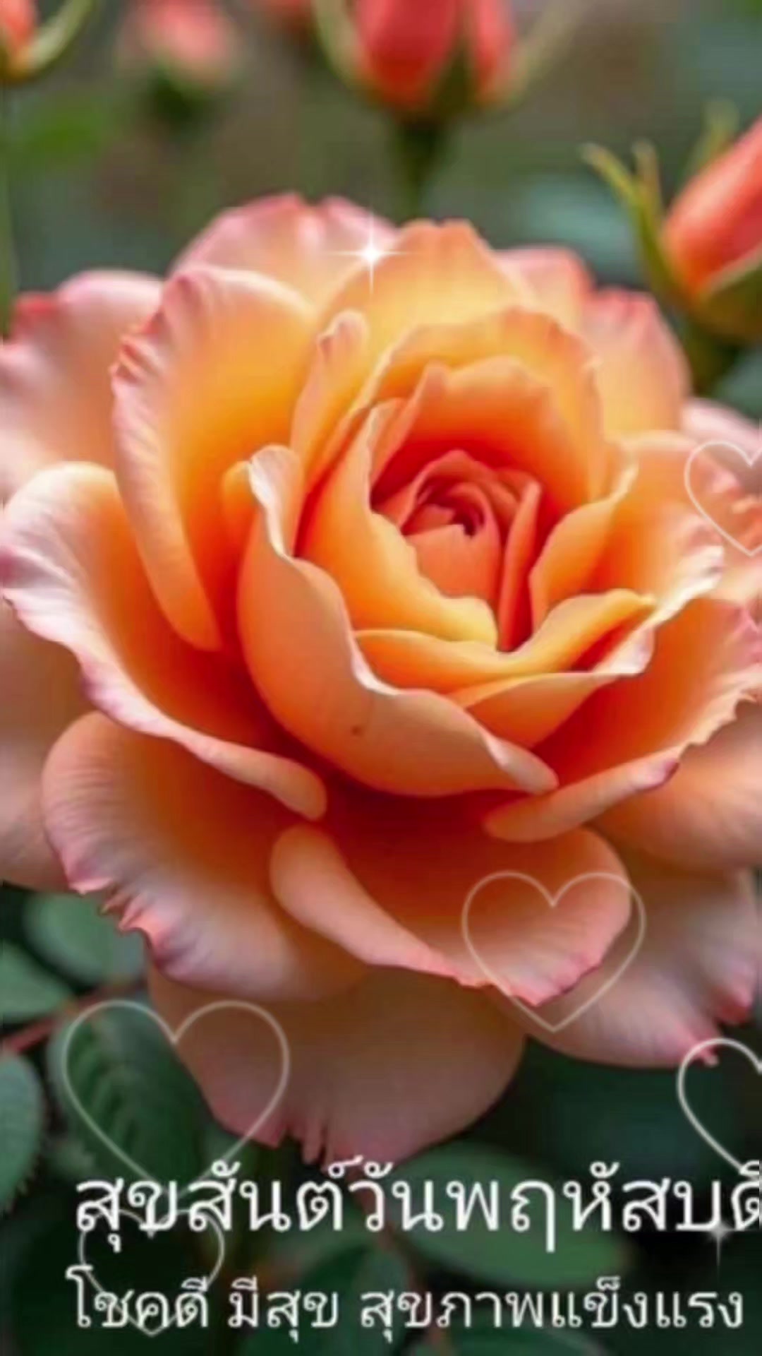 @Orasa mokkhdksoongg