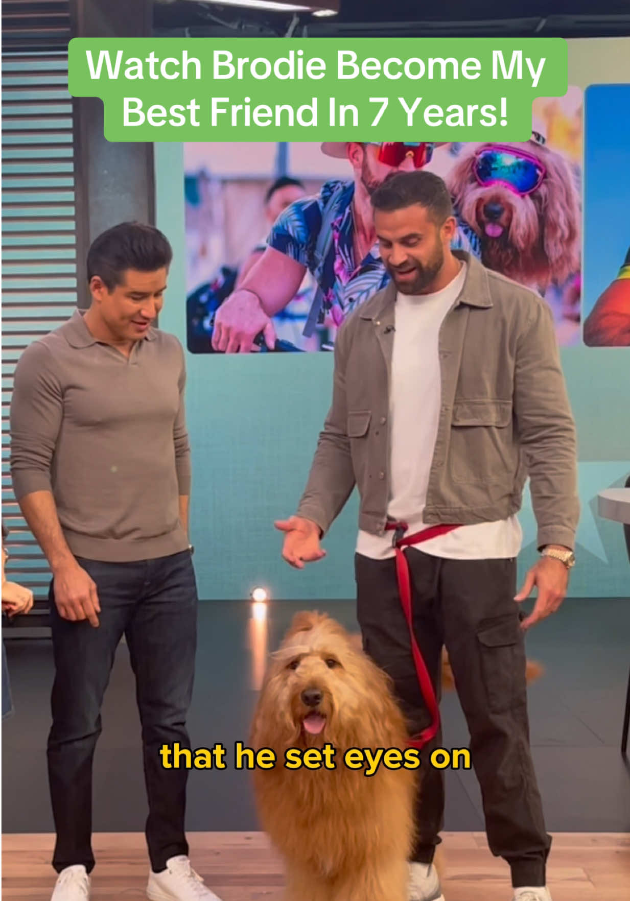 @Brodie The Goldendoodle