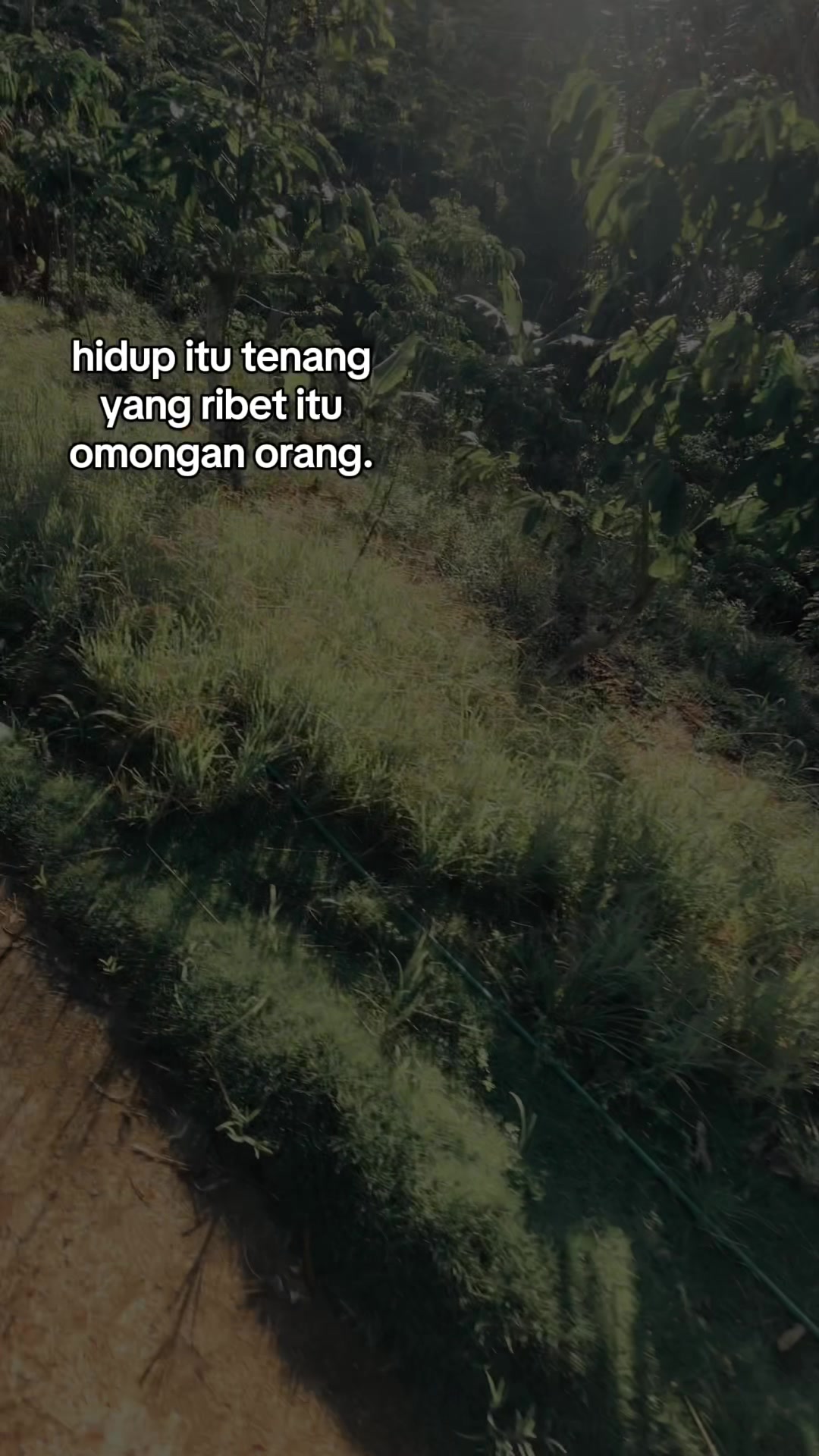 @Sekedar fans