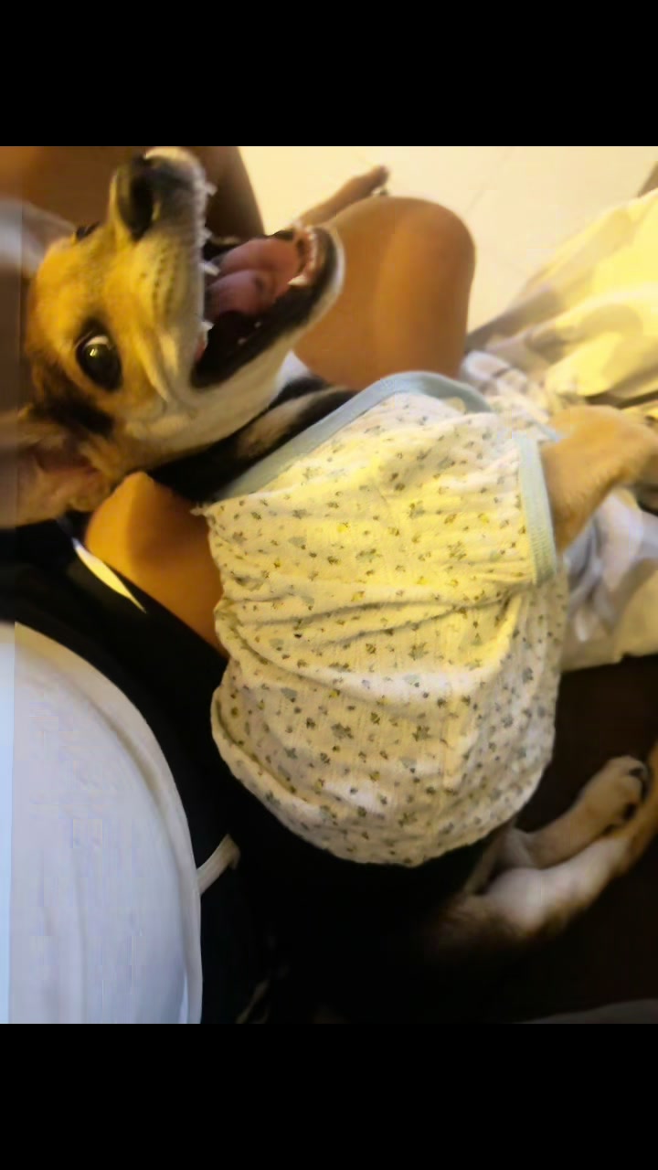 @shantzdev