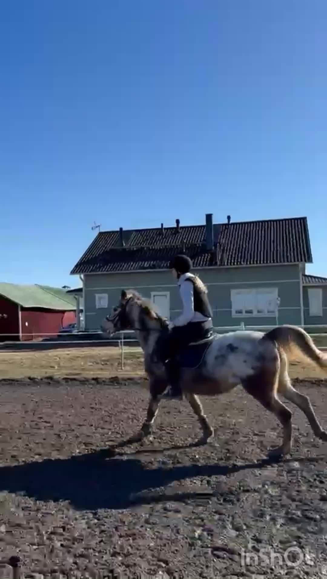 @eq.adele