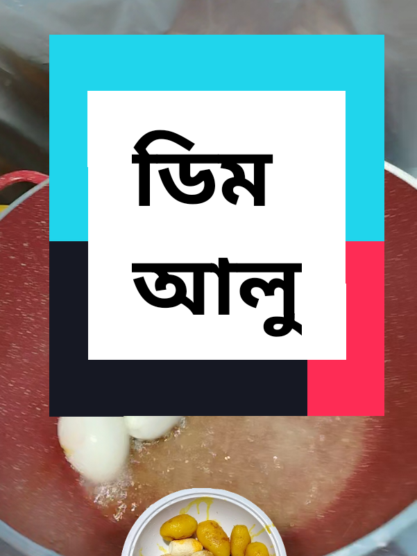 @🎁𝗦𝗨𝗟𝗘𝗠𝗔𝗡🫂𝗕𝗢𝗞𝗦𝗛🎁