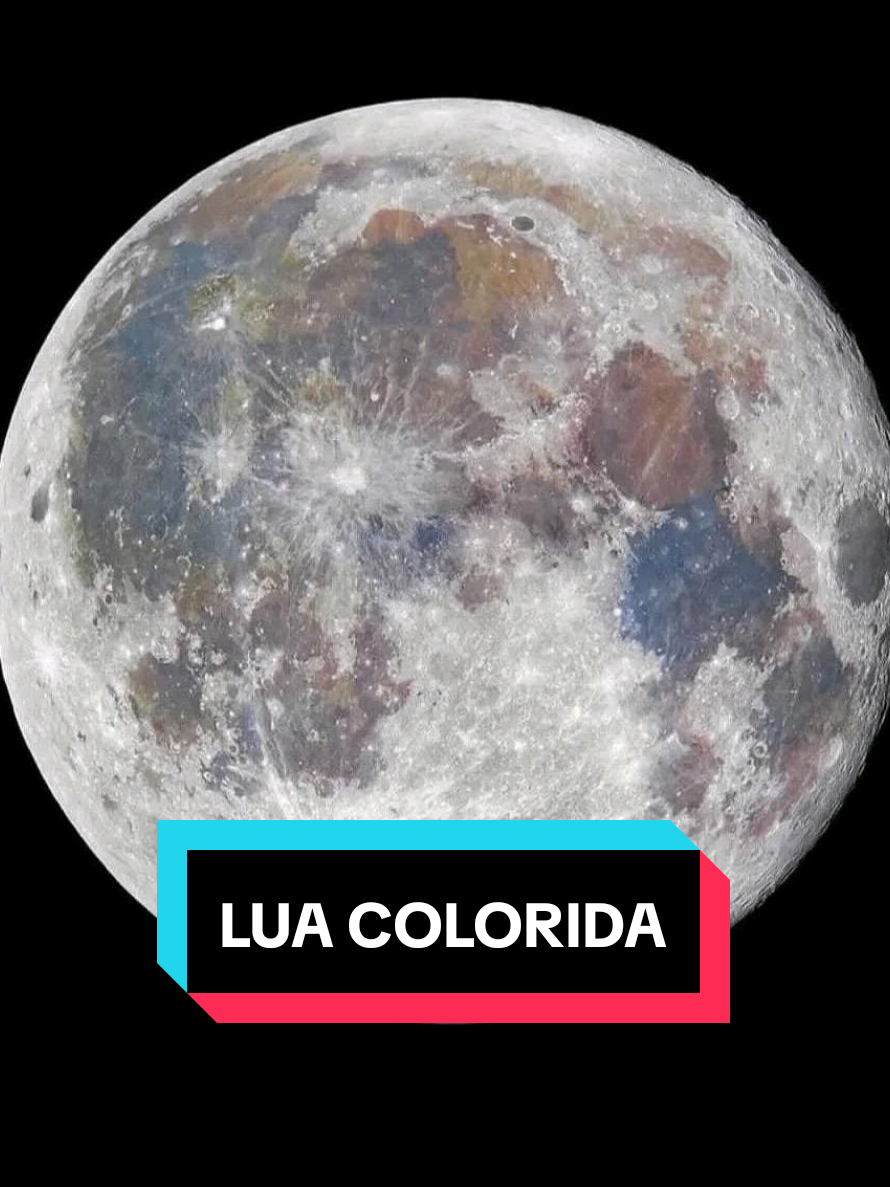 @Curiosidades Do mundo