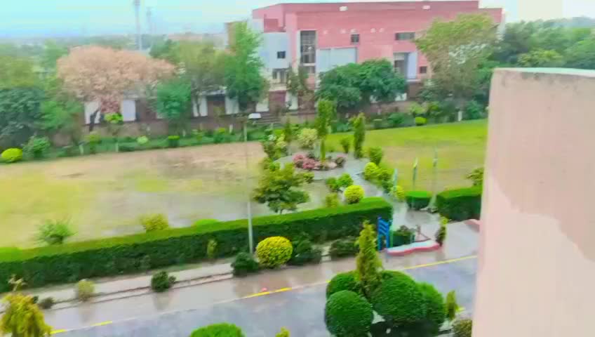 @Muzamil Hayat
