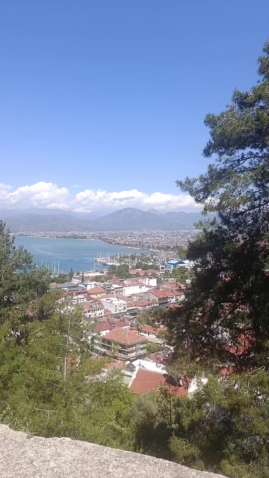 @bilgiyasar