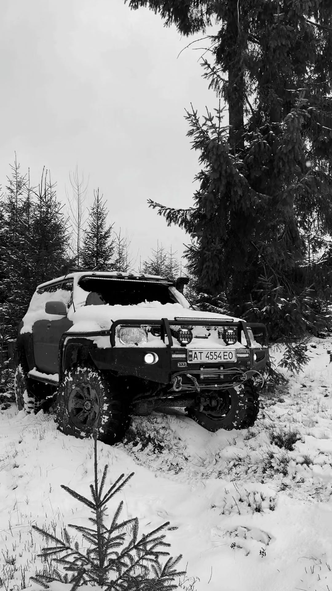 @bukovel_jeep_tour