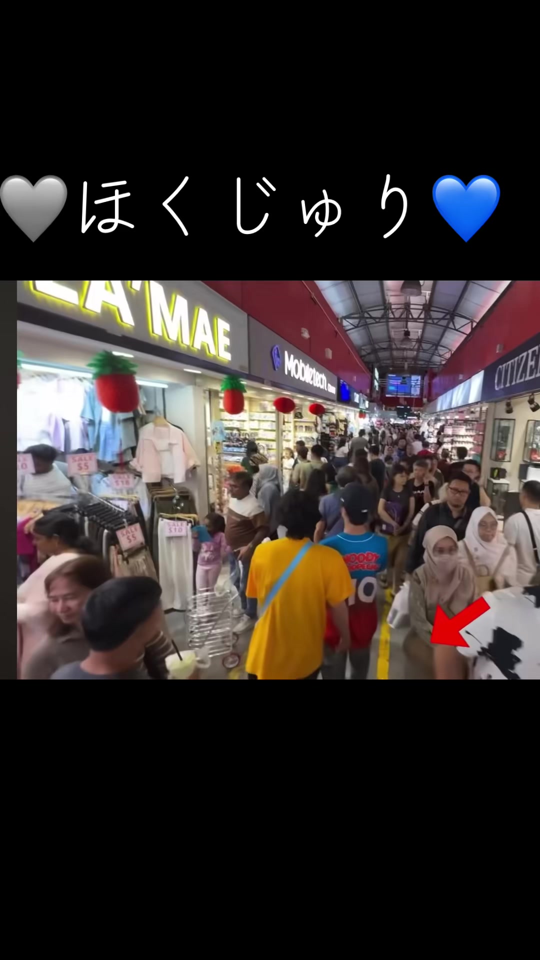 @びはく🖤💙