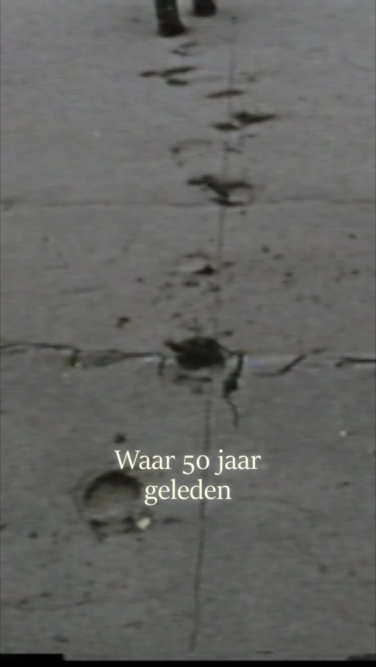 @Visit Almere