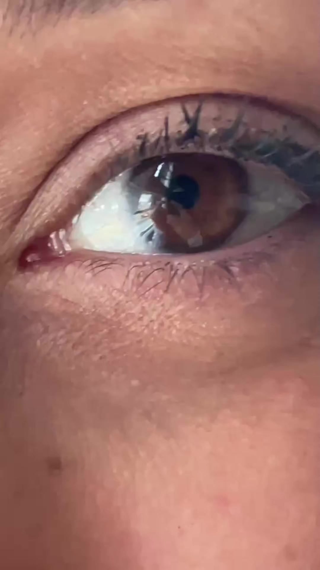 @gundilokk21