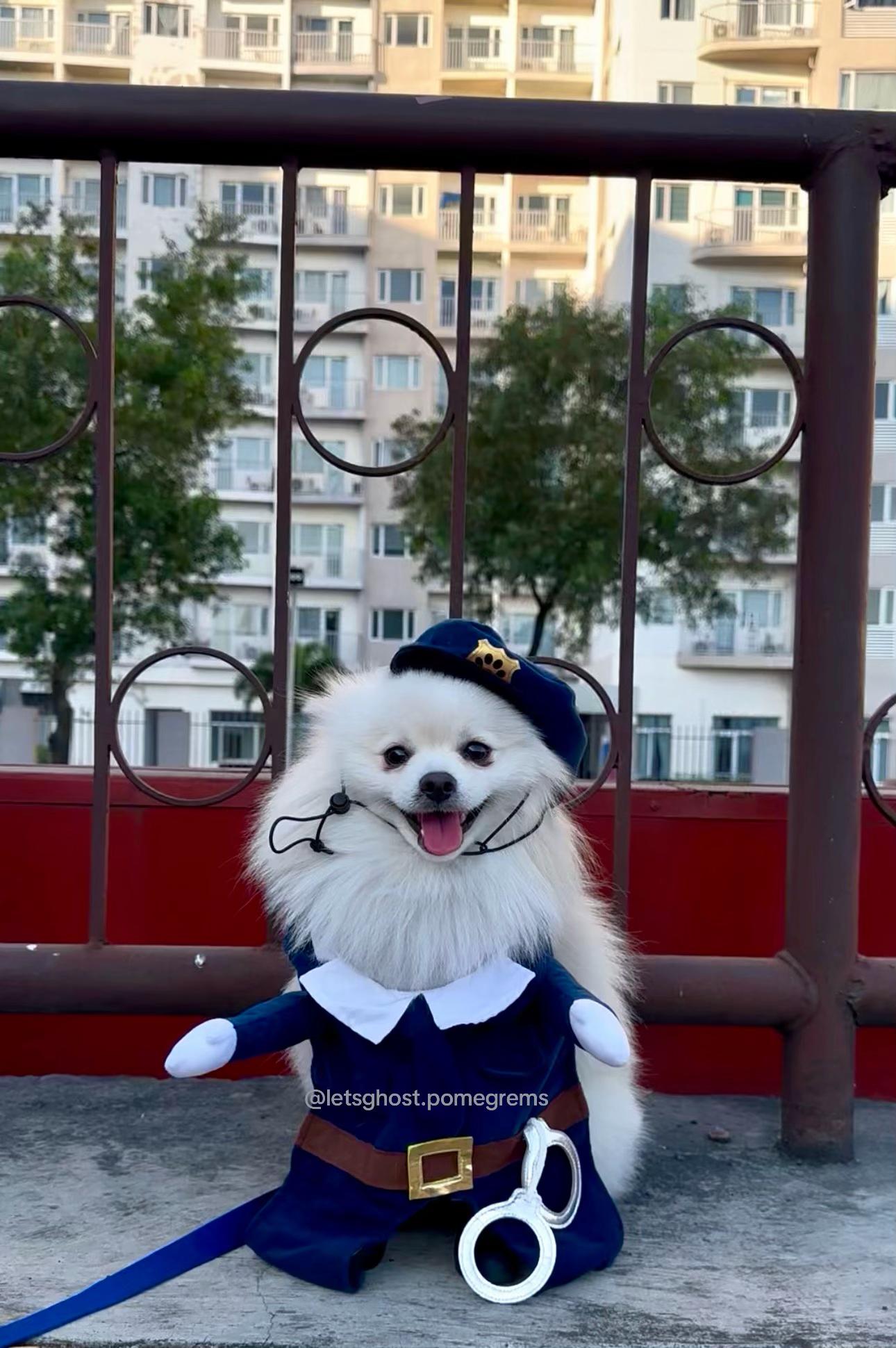 @G H O S T TheRunnerPom