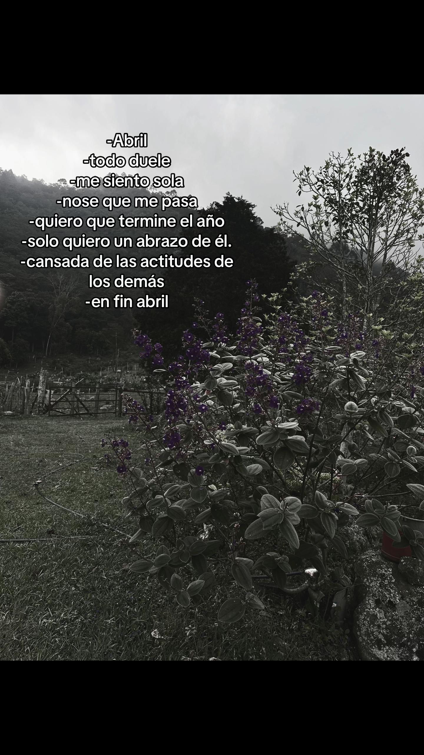 @anonima