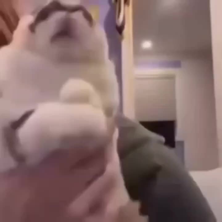 @Ru9y