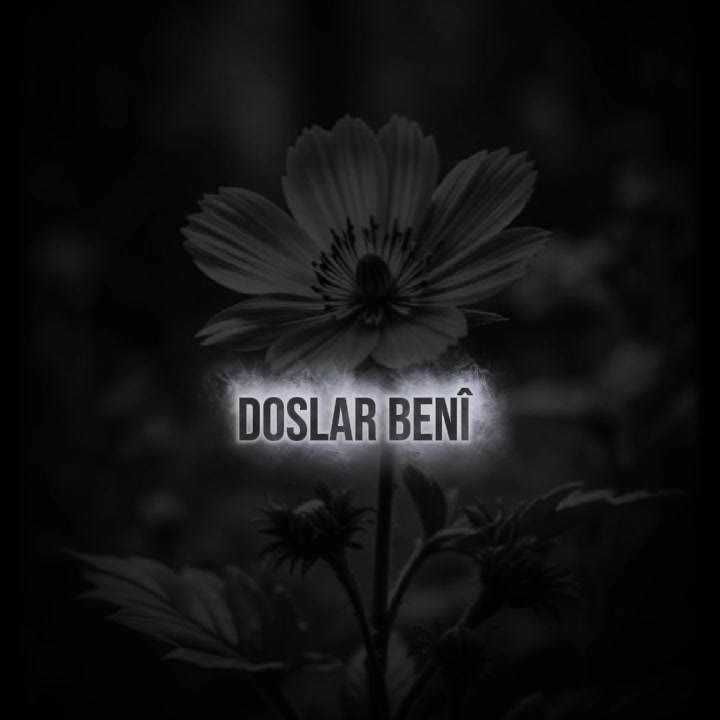 @💫𝕲𝖊𝖈𝖊 𝕺𝖑𝖚𝖓𝖈𝖆💫