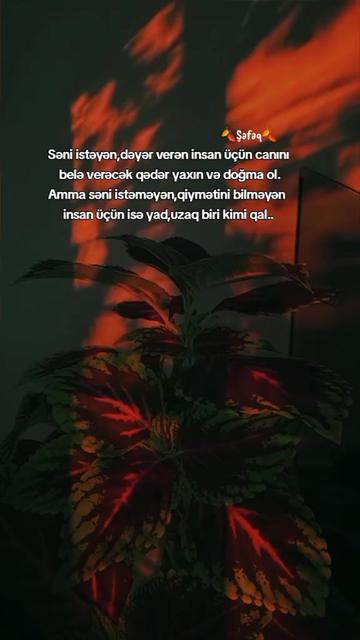 @🍂ŞƏFƏQ🍂