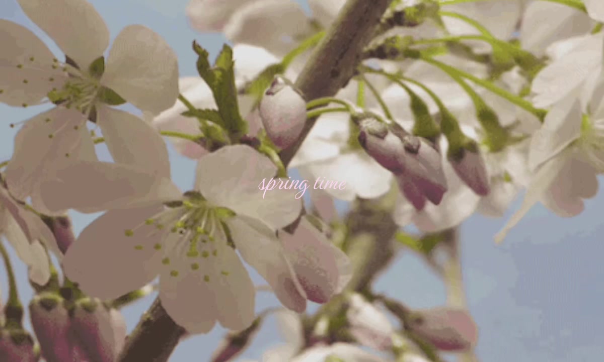 @冬空 ‧˚₊