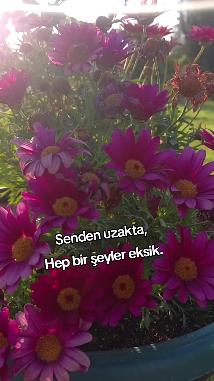 @kyplrdym