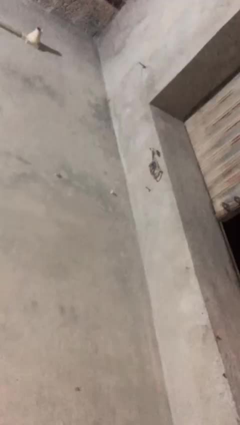 @sikandar Jaan