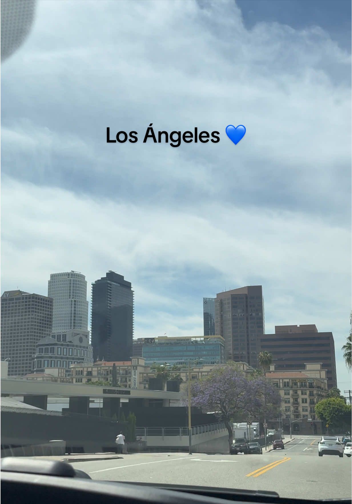 @La Baby🌸🐦&zwj;🔥🇳🇮