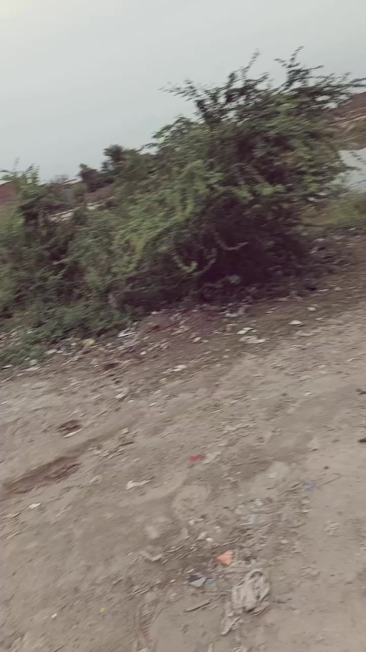 @🚩انصاری✨ بادشاہ👑