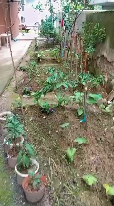 @sevgi sarıoglu