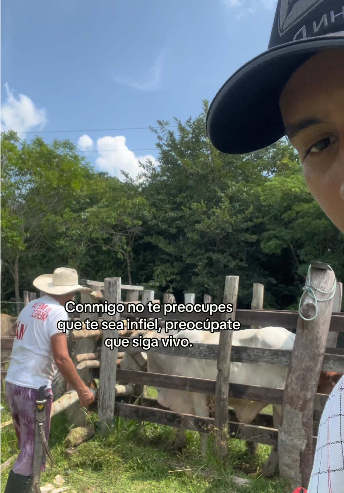 @Manuel Perez