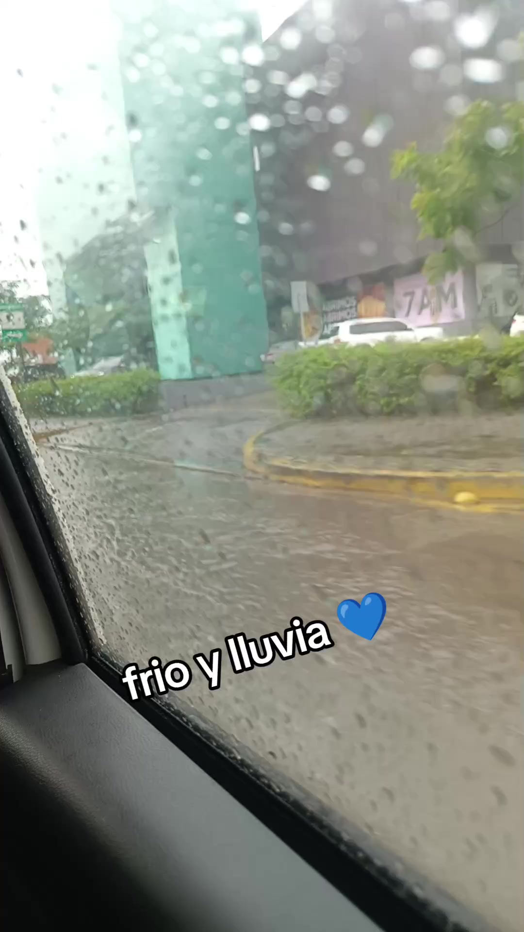 @Fernanda Roda Garcia