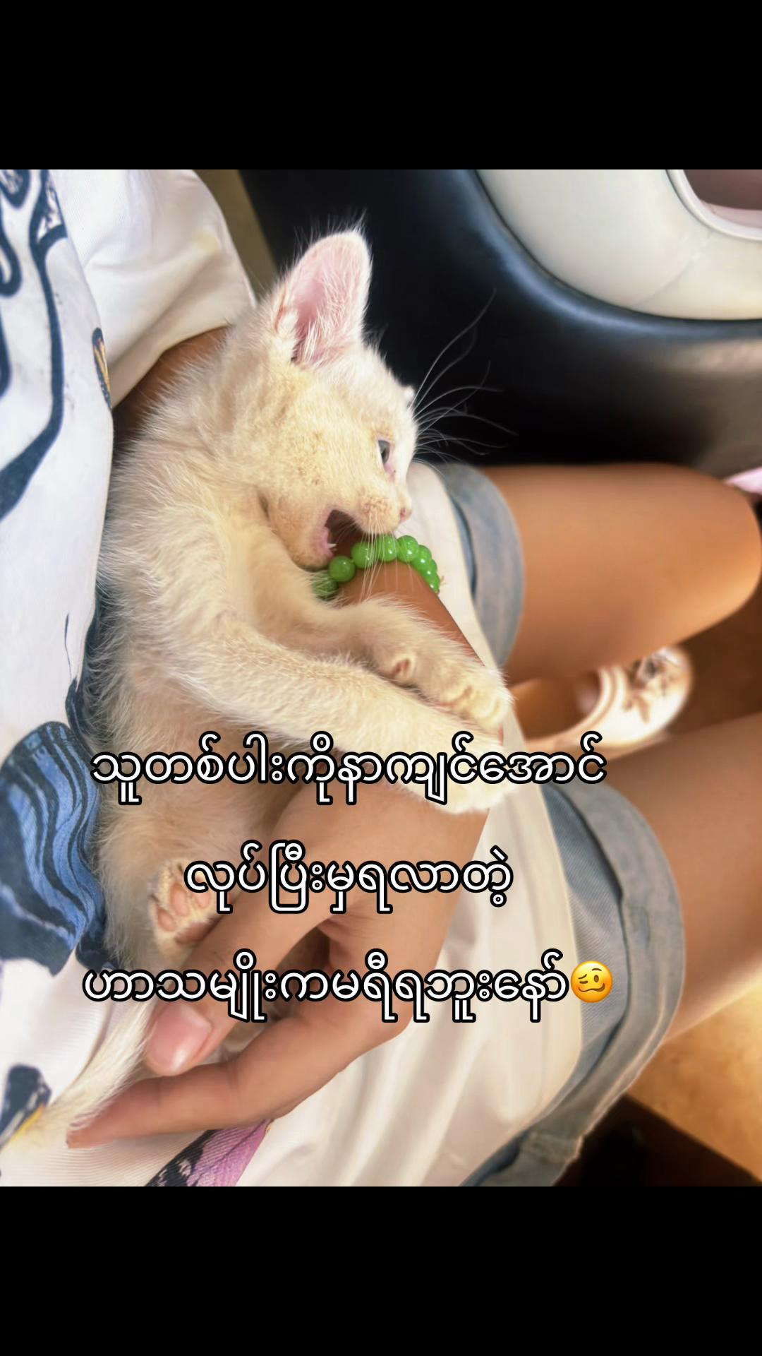 @Aye thandar oo
