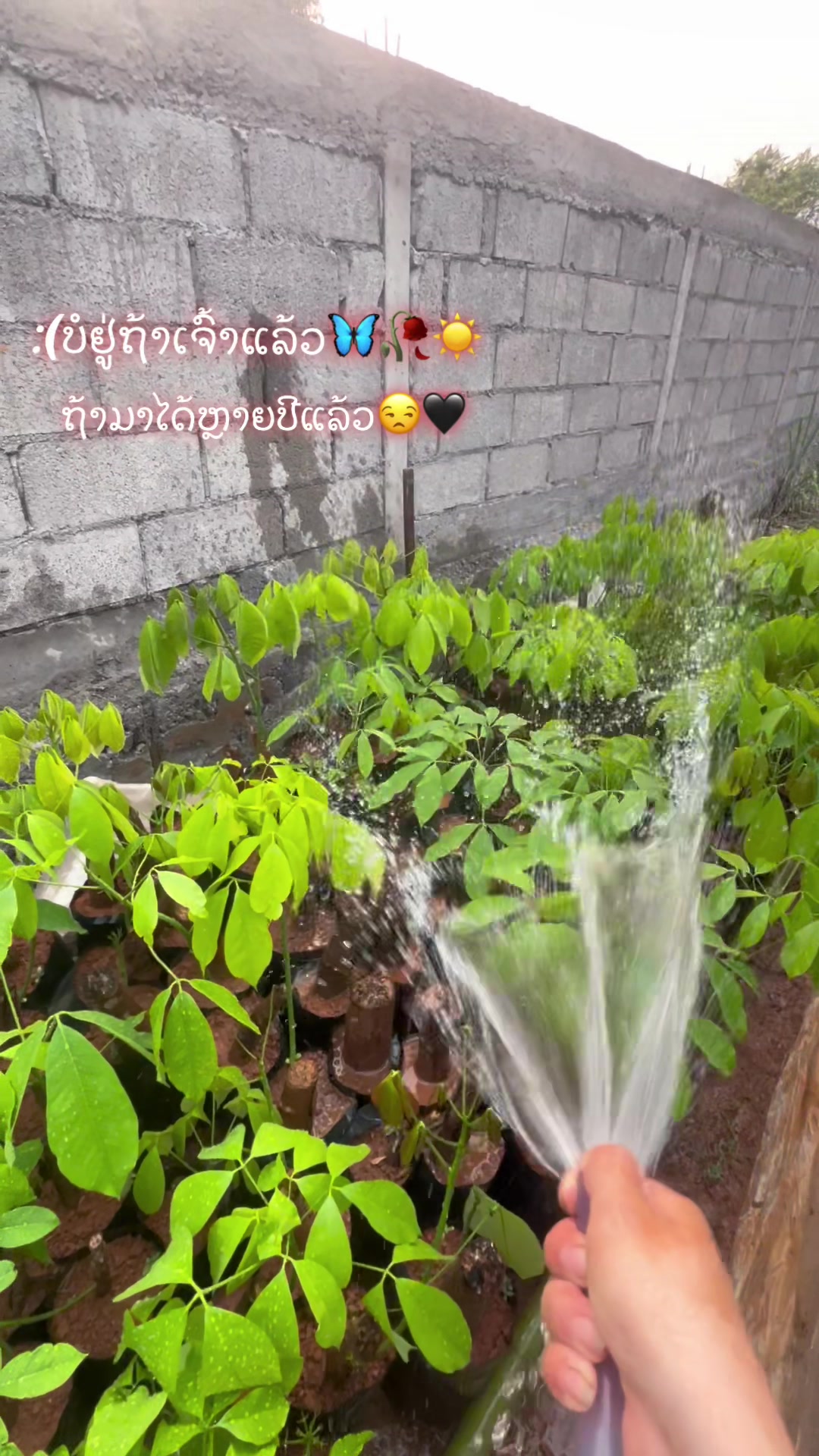 @ດົ້ວຈີ&rdquo;🥰 ເລົ່າ ❤️🫶🏻
