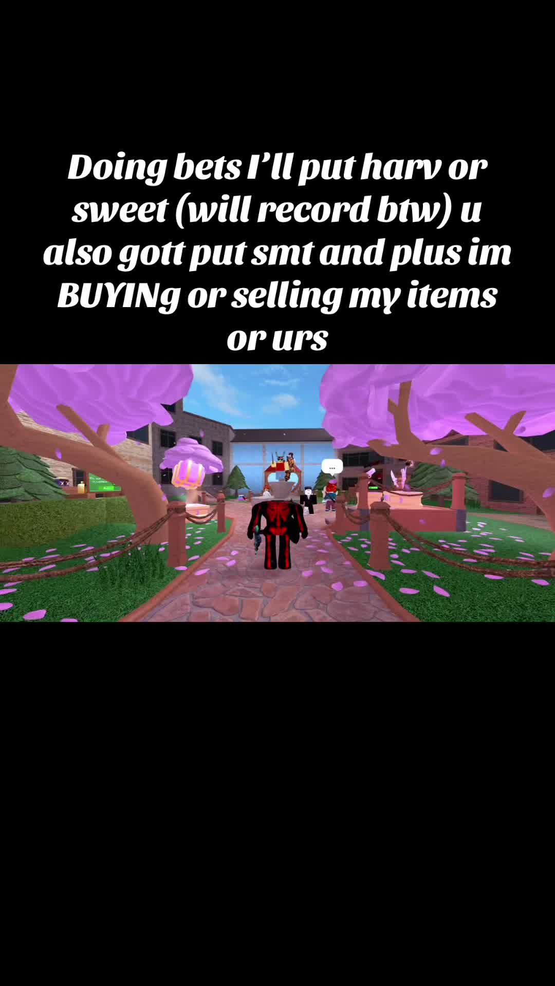 @S🦈
