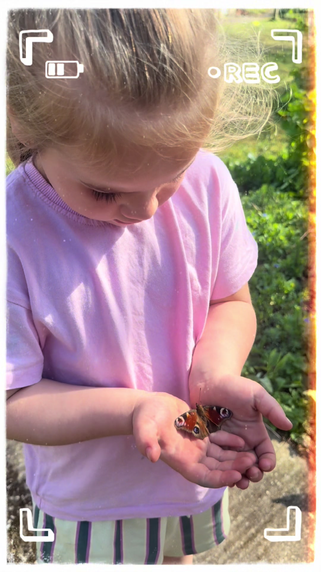 @ButtercupLane1 kids days out