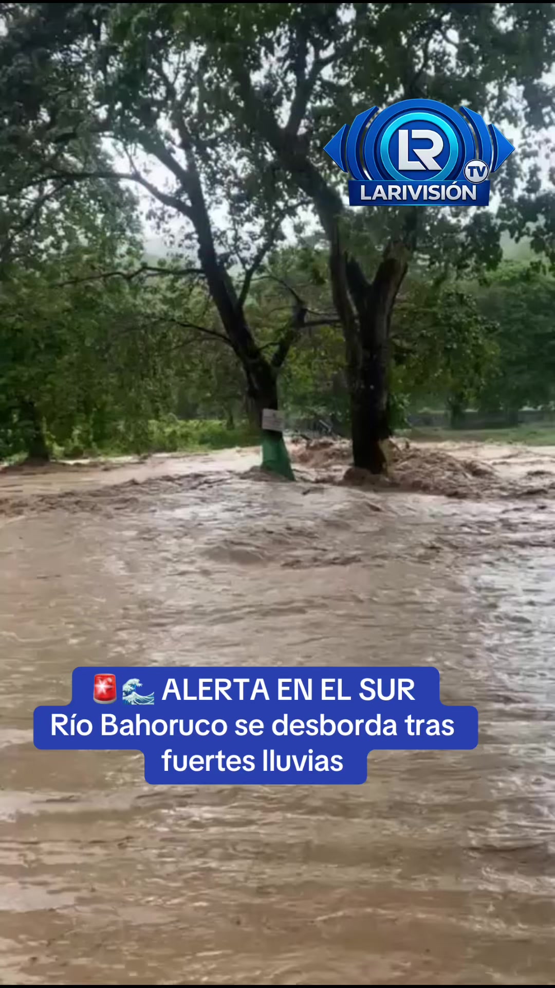 @Larivisión