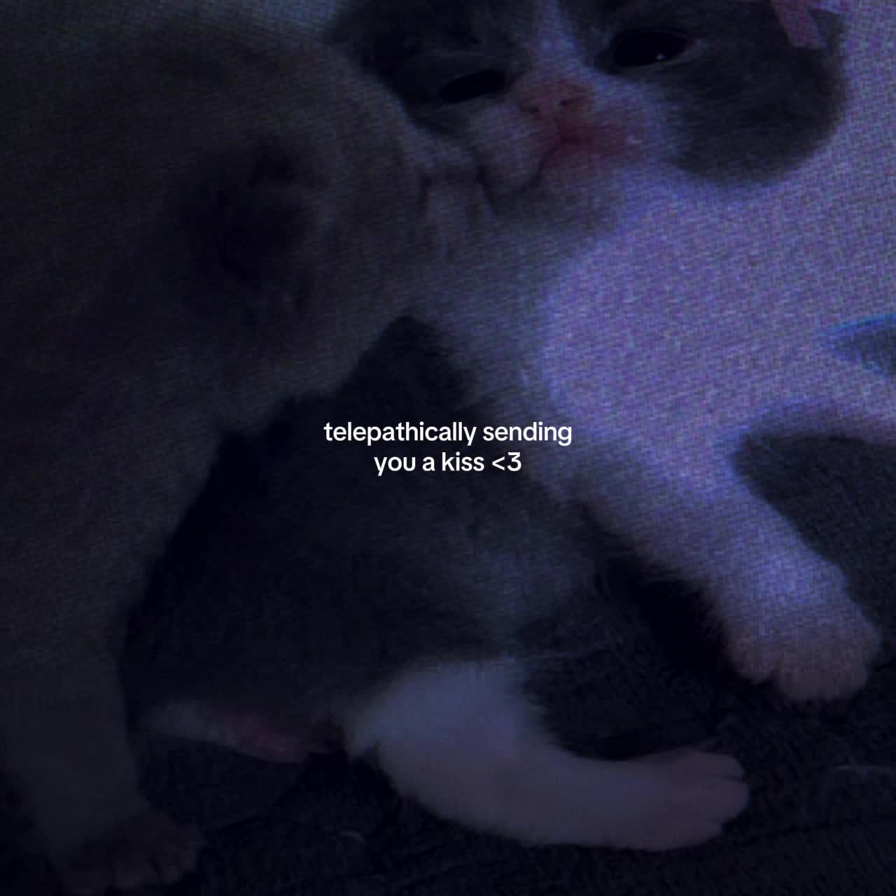 @Spotify: LXNYA