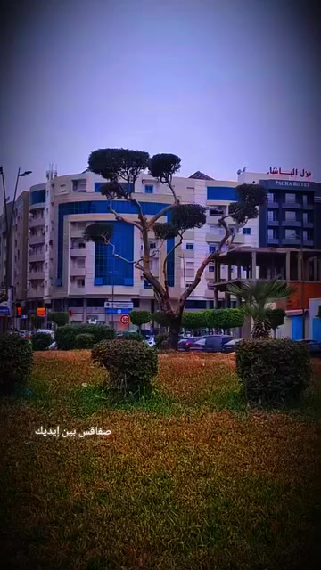 @صفاقس بين ايديك