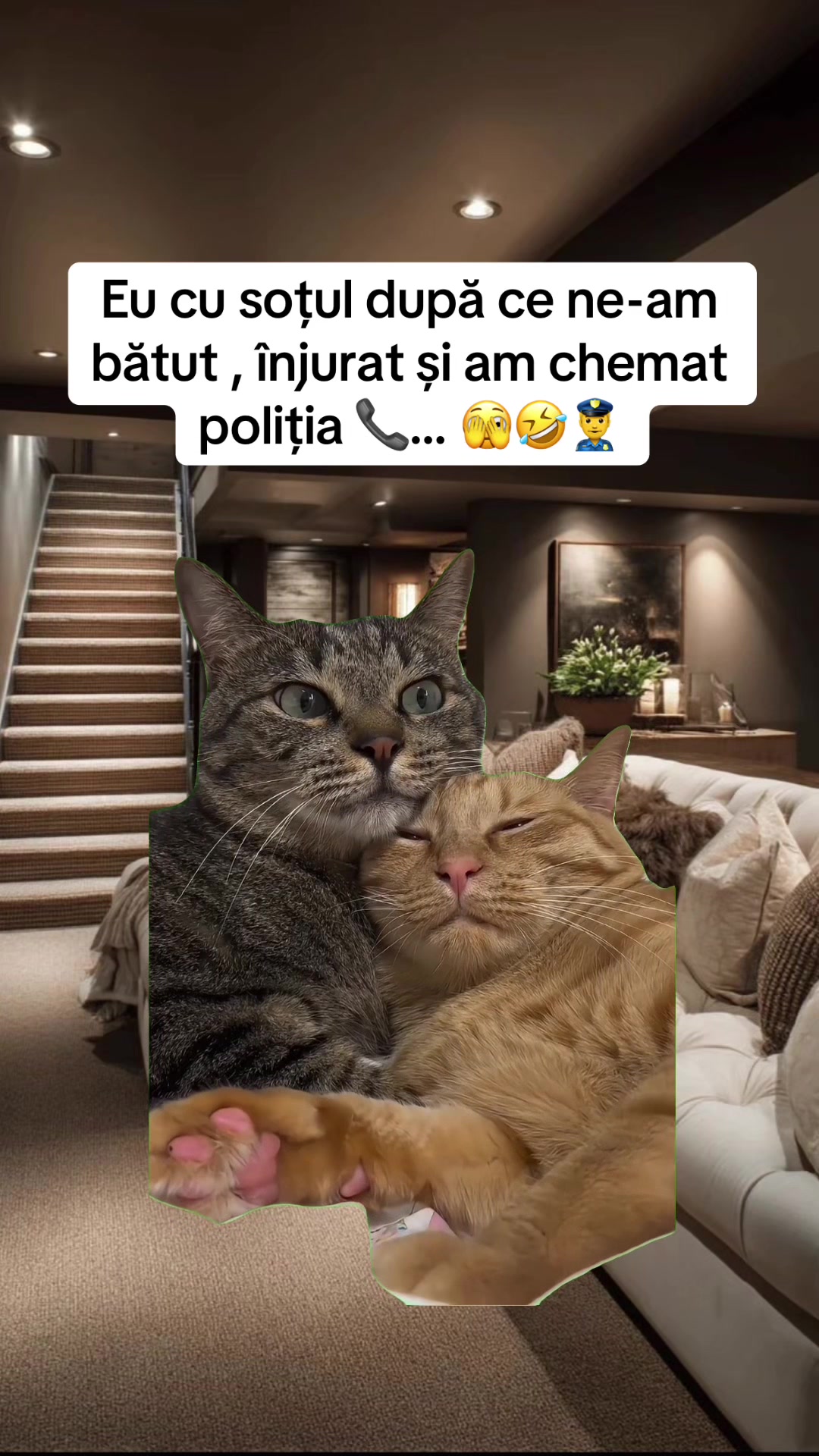 @Ionut17