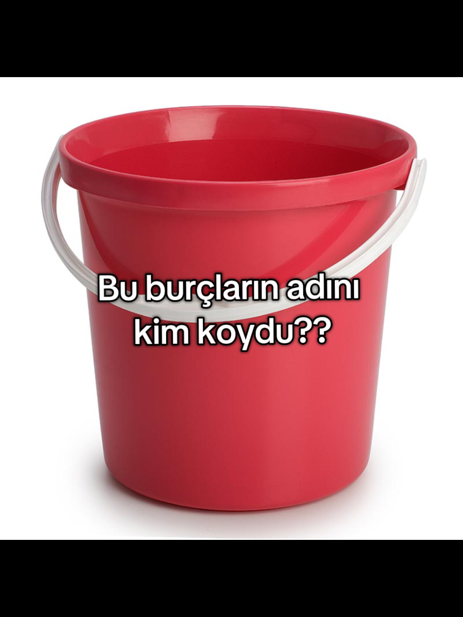 @Cerennn🇹🇷