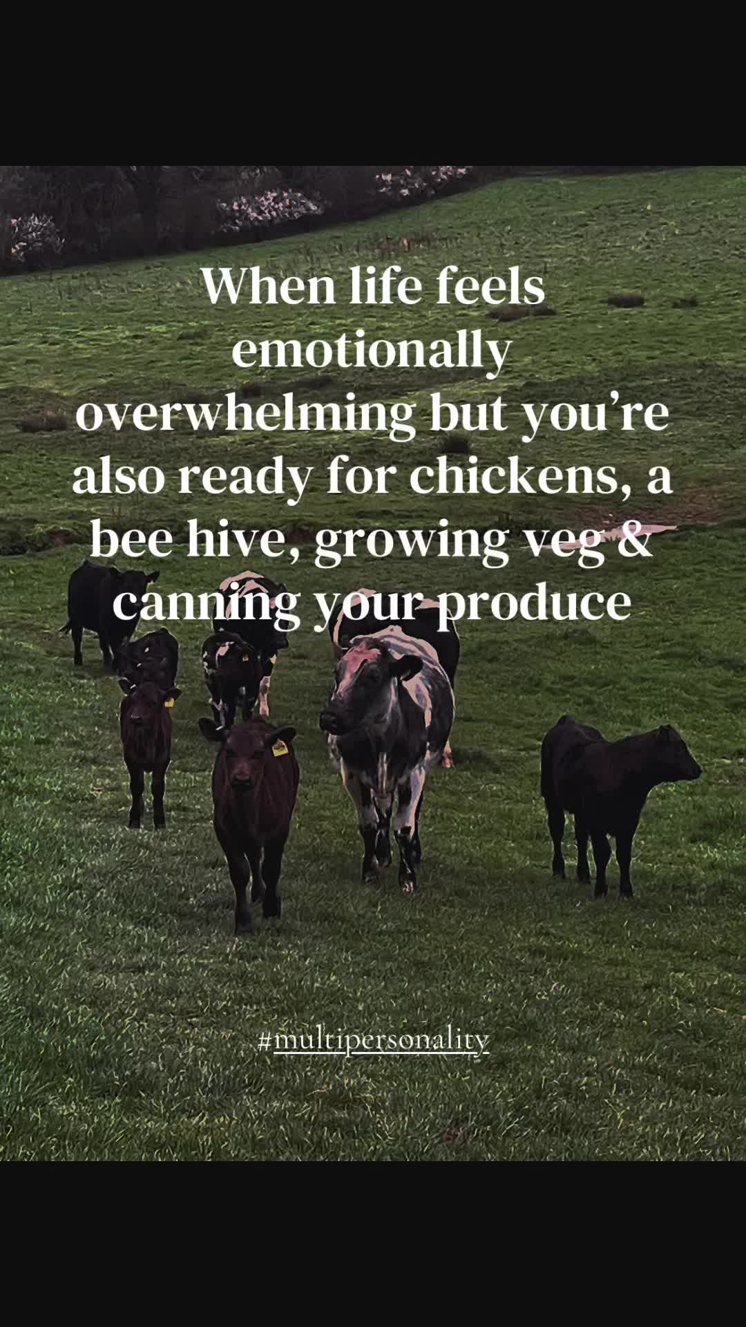 @holisticrebel