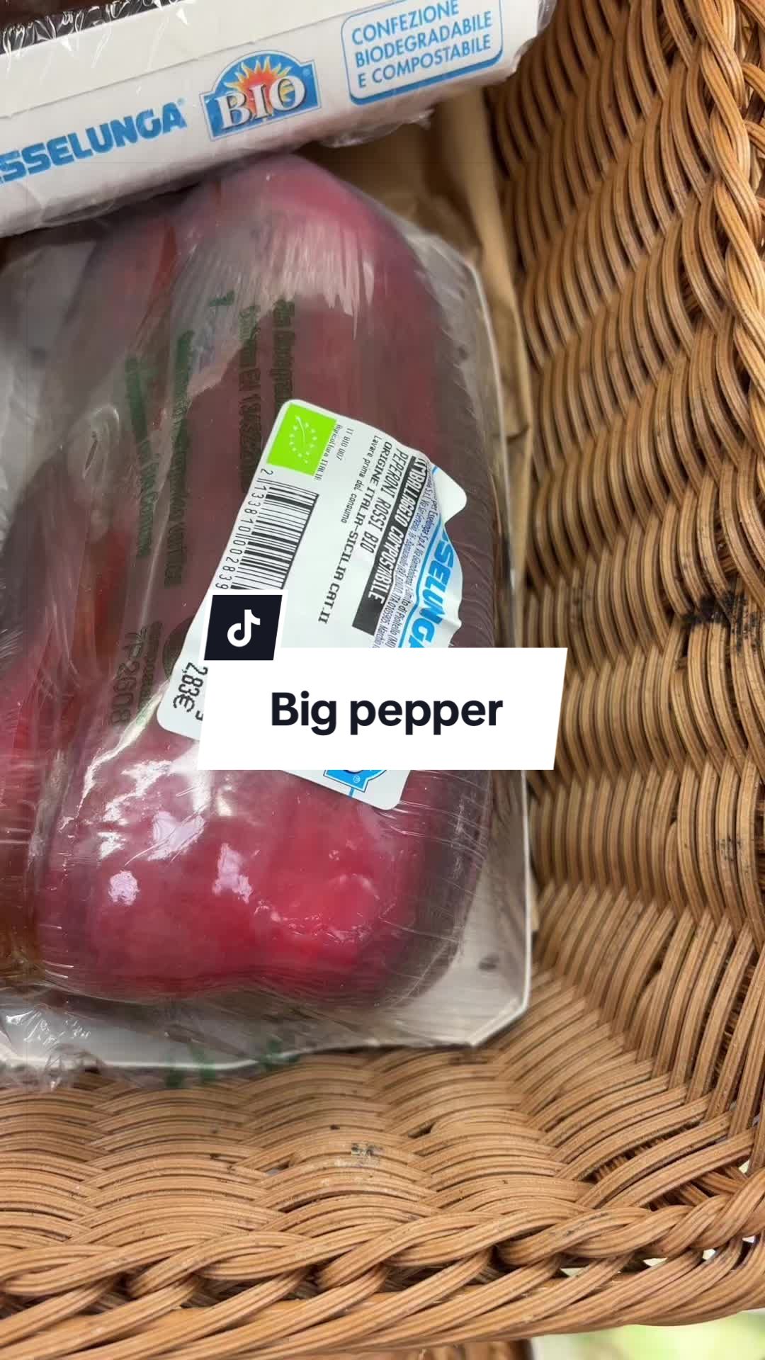 @angus.official