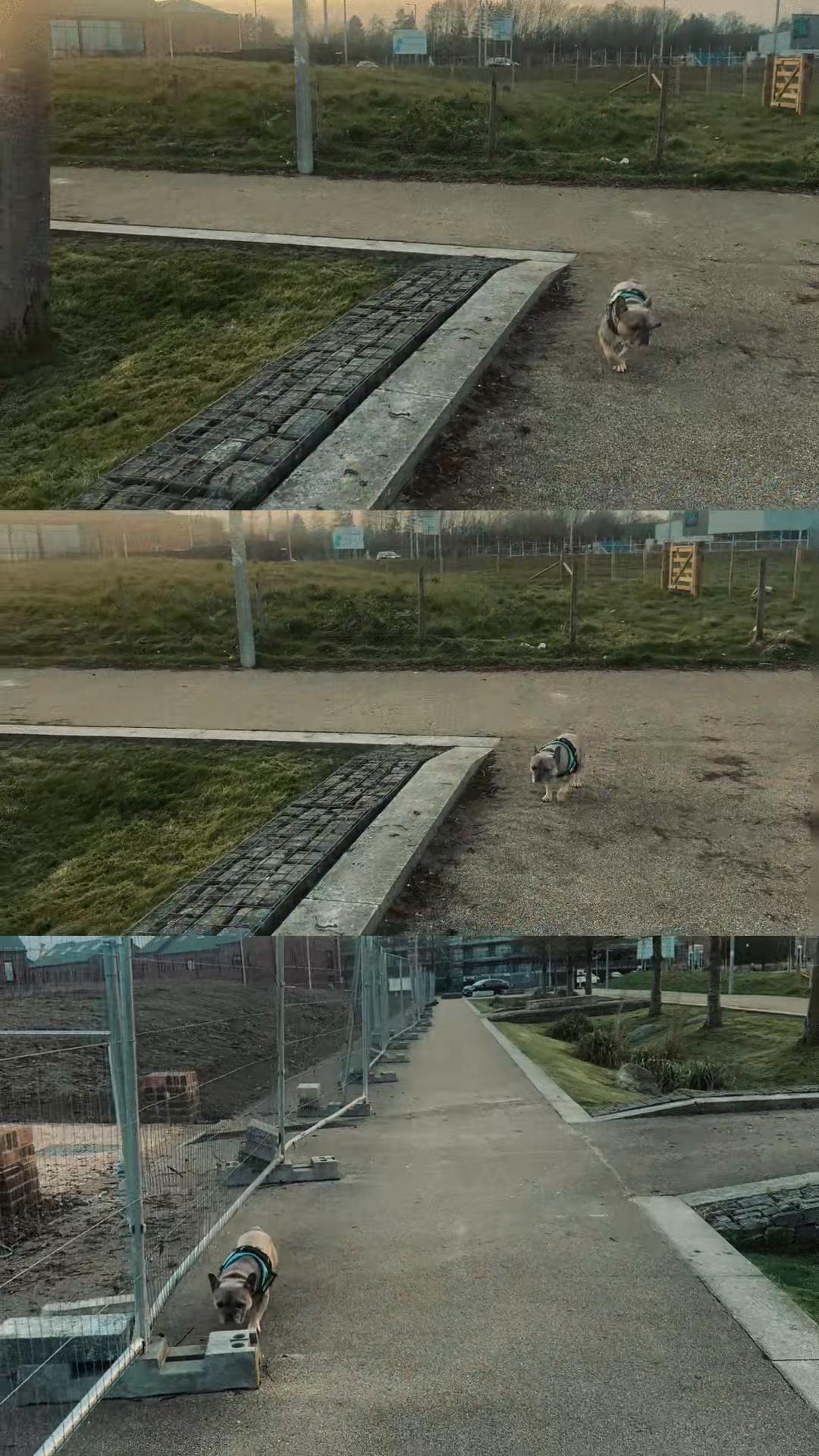 @__DNivenx