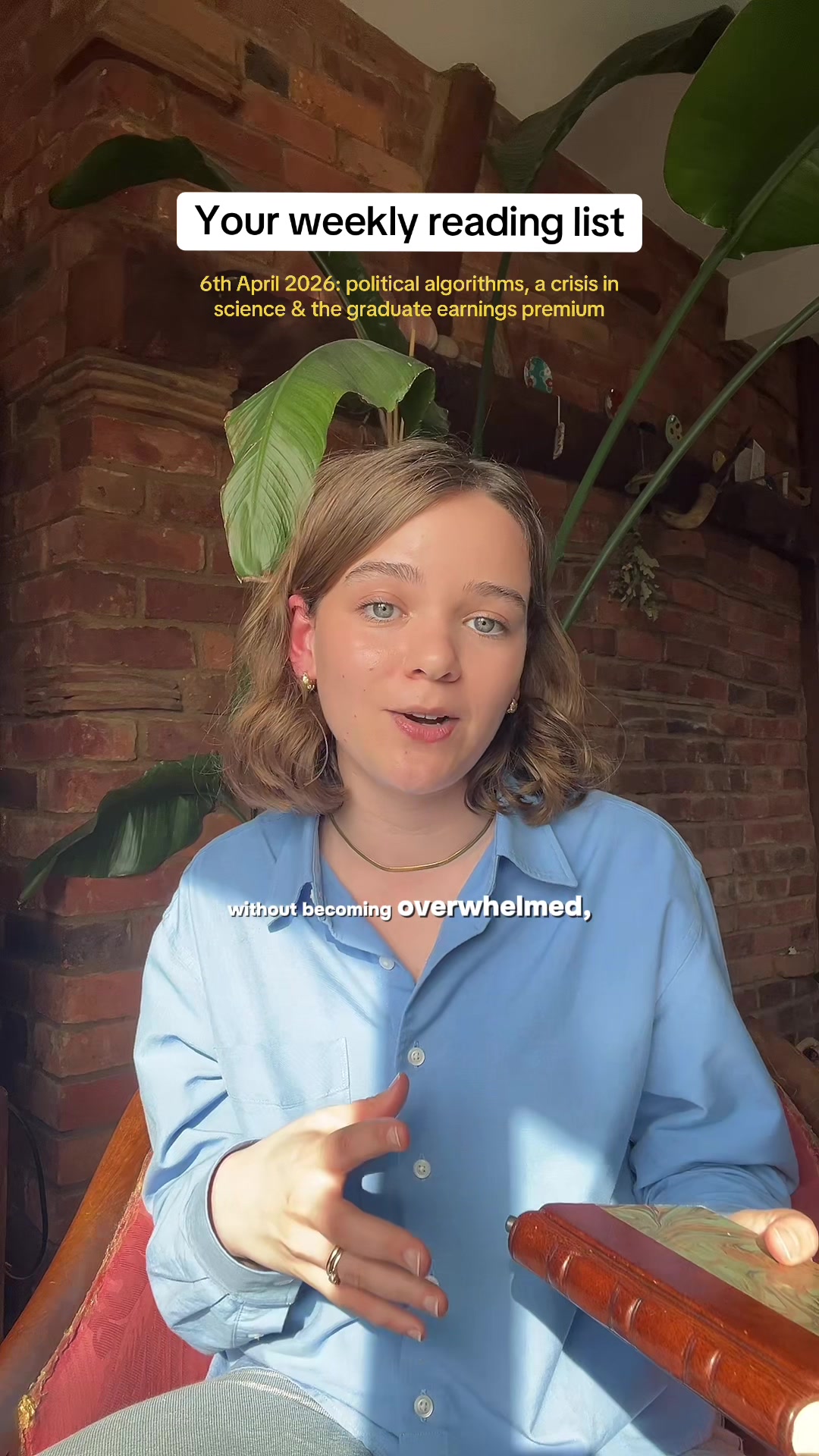 @dani | education & politics