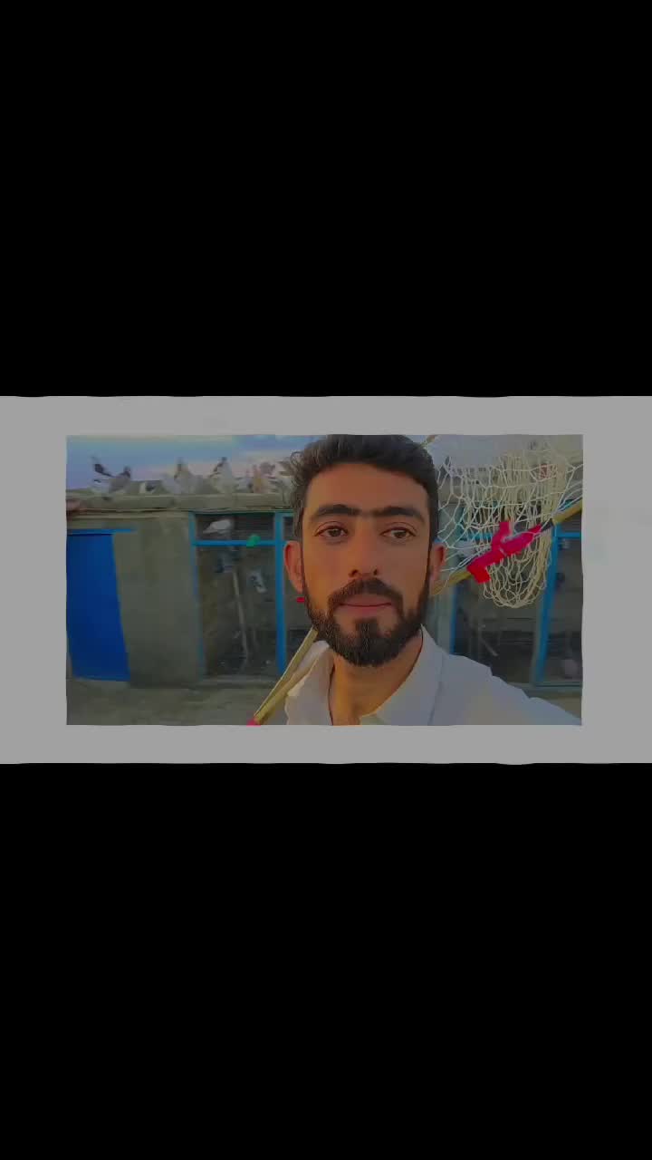 @Aleehaider990