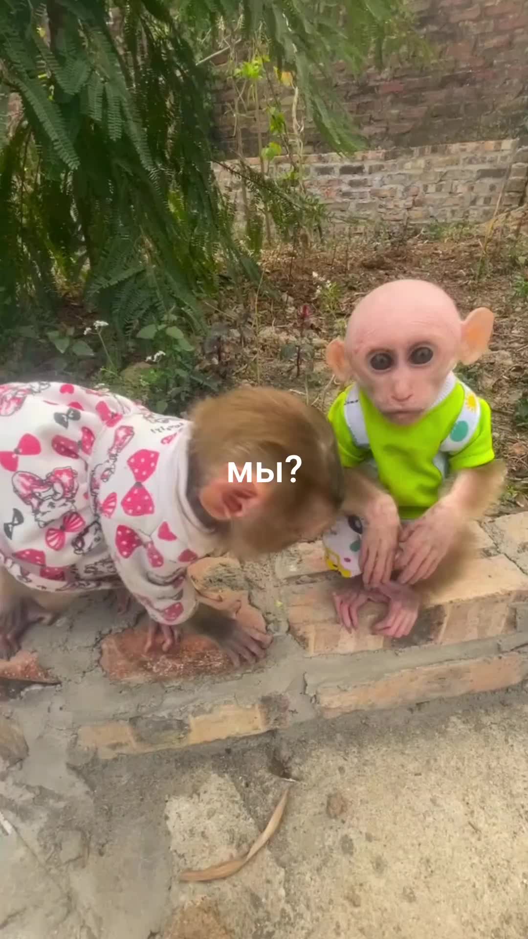 @promoting.babies