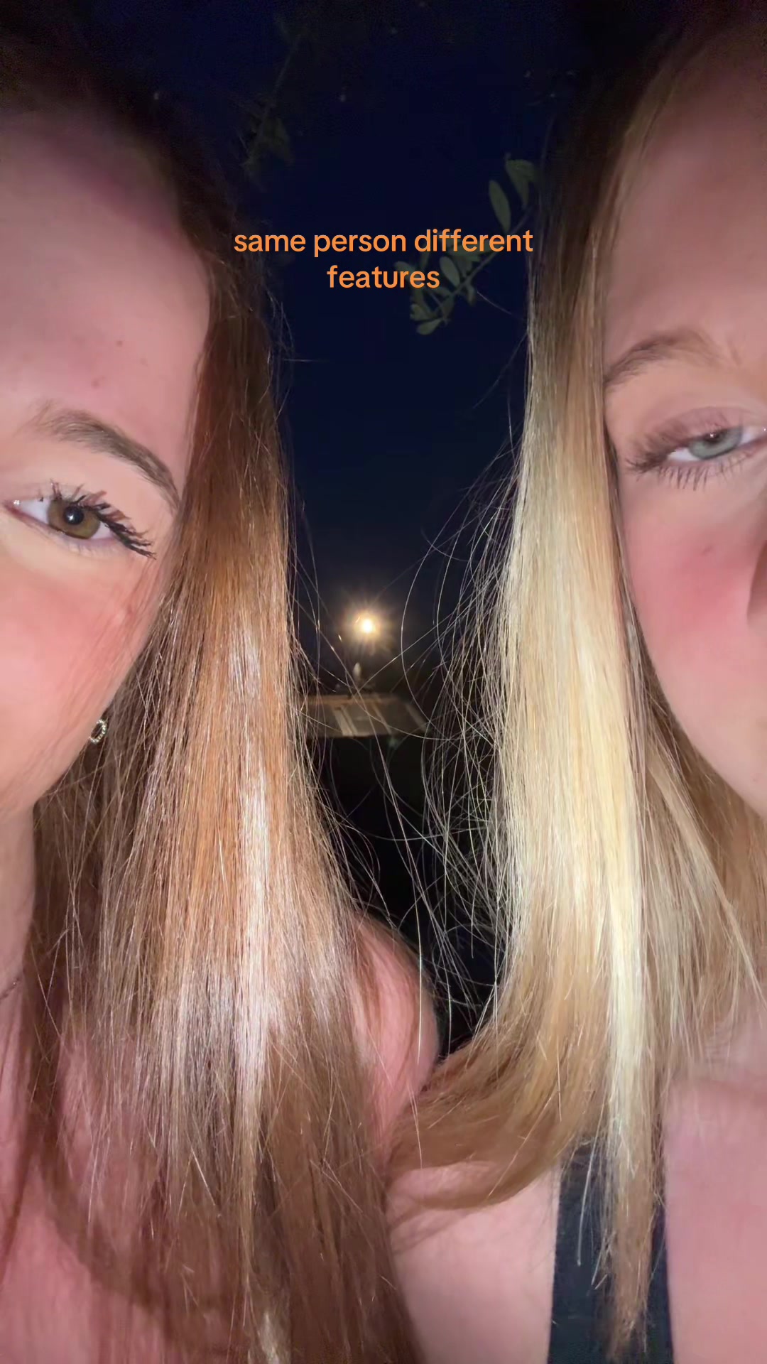 @carla.ams